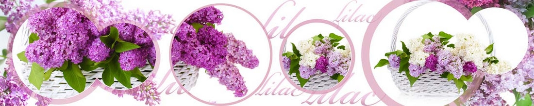 skinali 0656